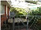 23 Orbit Drive, Whittington VIC 3219
