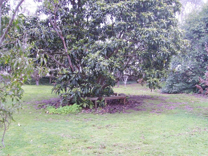Lot 5c Princes Highway, Pomborneit VIC 3260