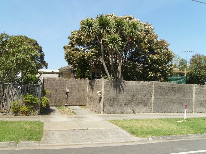 125 Francis Street, Belmont VIC 3216