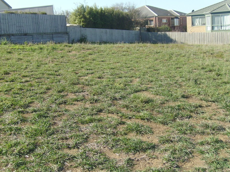 6 Hillcrest Court, Highton VIC 3216