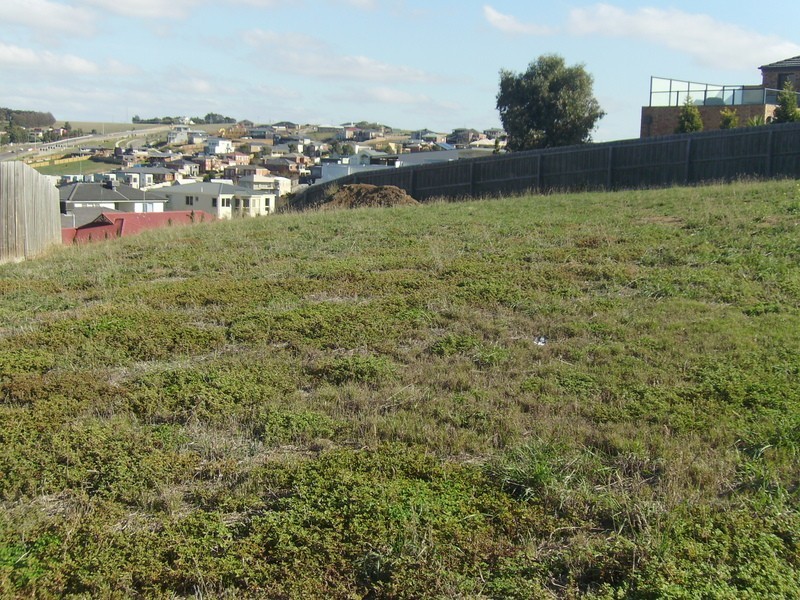 6 Hillcrest Court, Highton VIC 3216