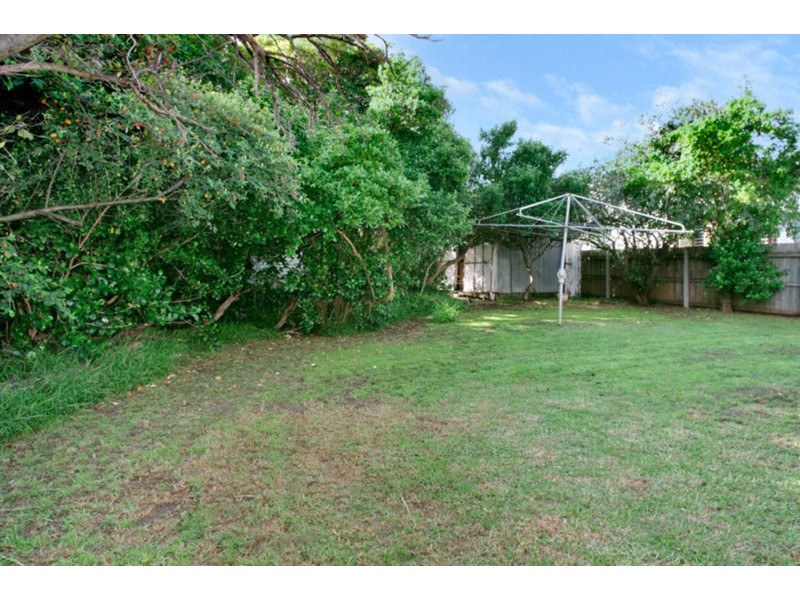 41 Nicholas Street, Newtown VIC 3220