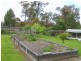 8 Coulter Street, Newcomb VIC 3219