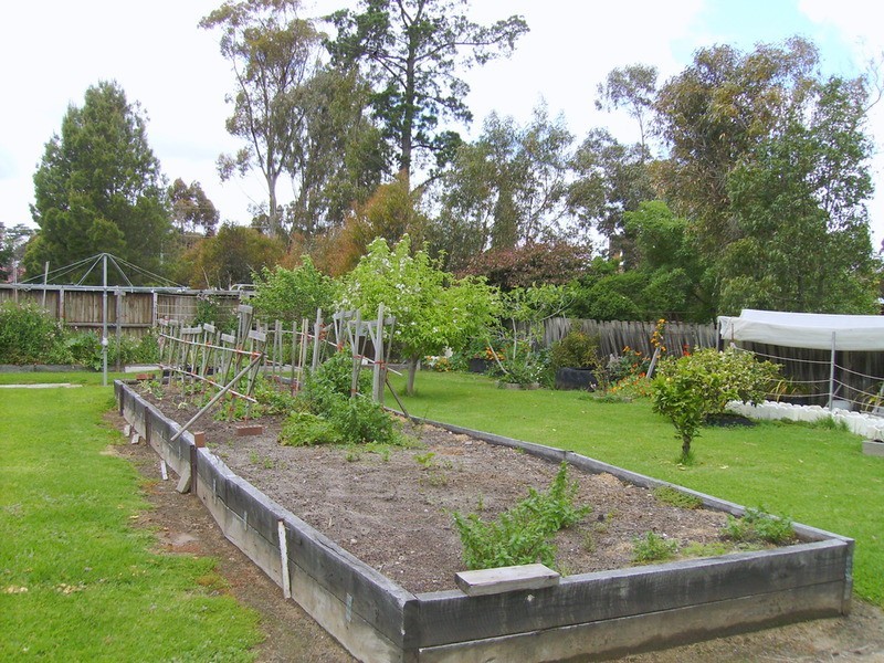 8 Coulter Street, Newcomb VIC 3219
