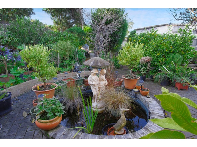 36 Summit Avenue, Belmont VIC 3216