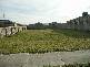 28 Arabando  Drive, Leopold VIC 3224