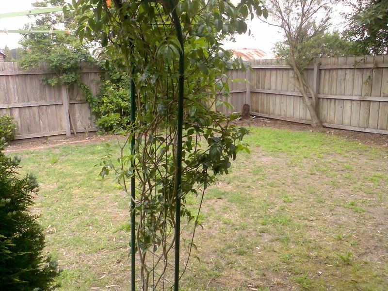 1/19 Hazelwood Crescent, Leopold VIC 3224