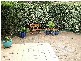 20 Hazelwood Crescent, Leopold VIC 3224