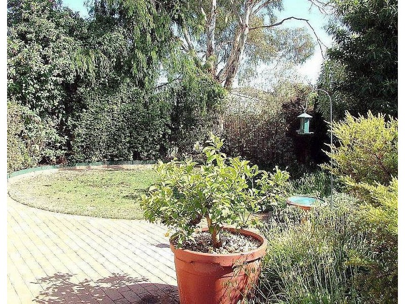20 Hazelwood Crescent, Leopold VIC 3224