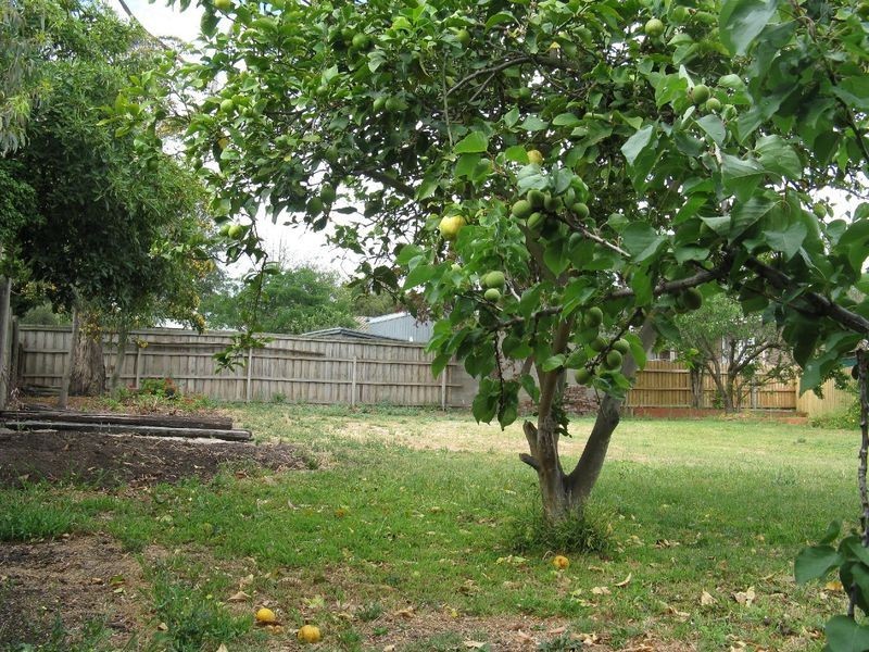 38 Northview Drive, Leopold VIC 3224