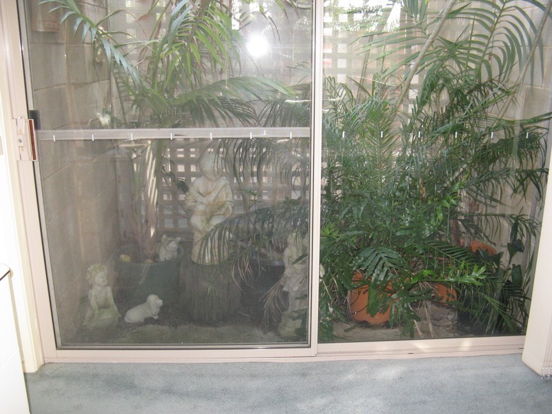 3 Townview Court, Leopold VIC 3224