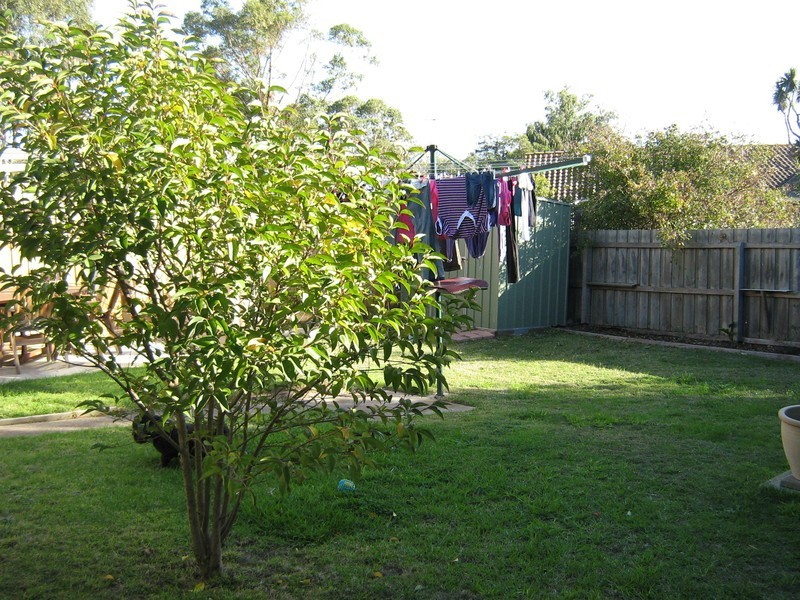 10 Kanimbla Avenue, Leopold VIC 3224