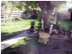 5 Dorothy Street, Leopold VIC 3224