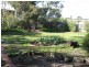 43 Rebecca Drive, Leopold VIC 3224