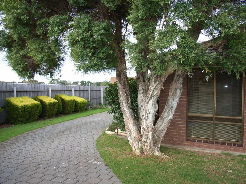 12 Ashleigh Crescent, Bell Park VIC 3215