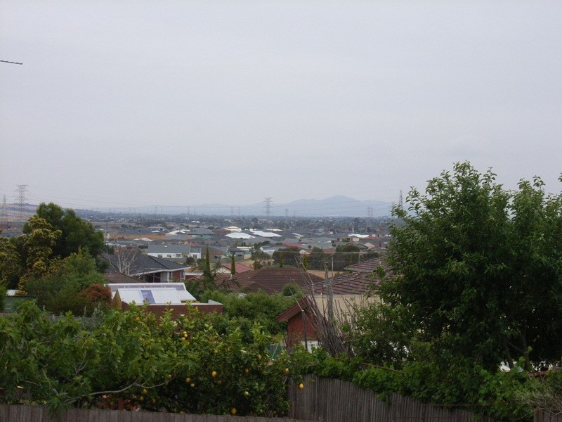 16 Cardiff Street, Bell Post Hill VIC 3215