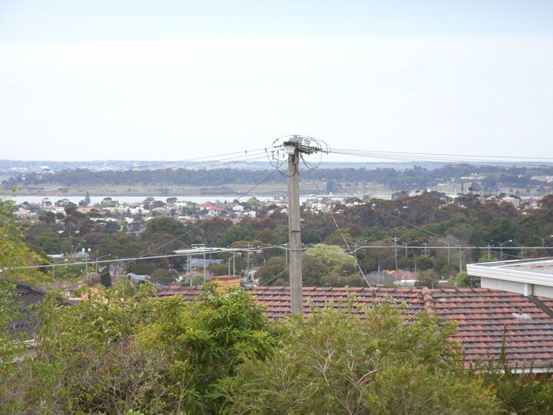 13 Forfar Road, Hamlyn Heights VIC 3215