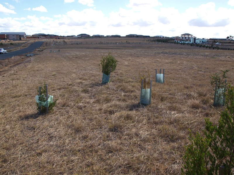 36 Glenora Place, Batesford VIC 3221