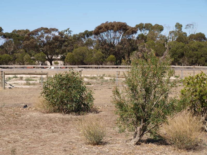 26 Marrabah Crescent, Teesdale VIC 3328