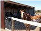 26 Marrabah Crescent, Teesdale VIC 3328