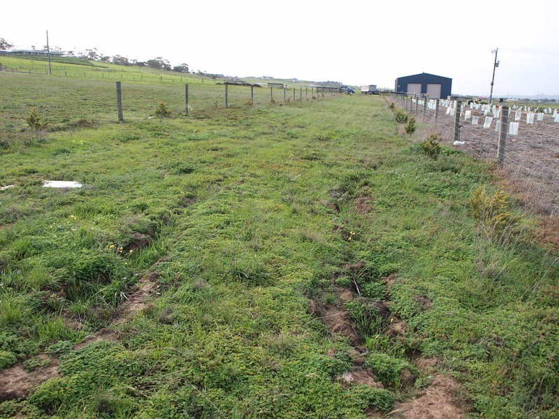 4 Peart Court, Lovely Banks VIC 3221