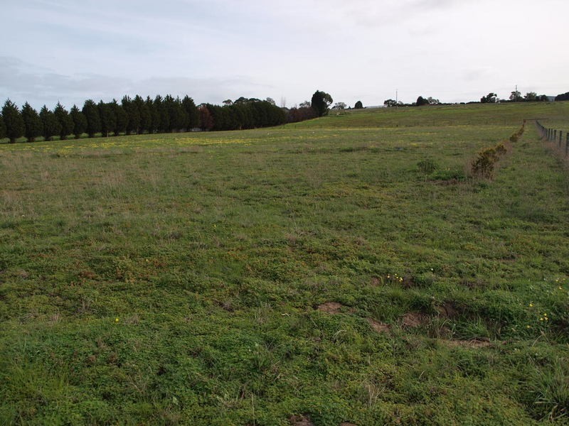 4 Peart Court, Lovely Banks VIC 3221