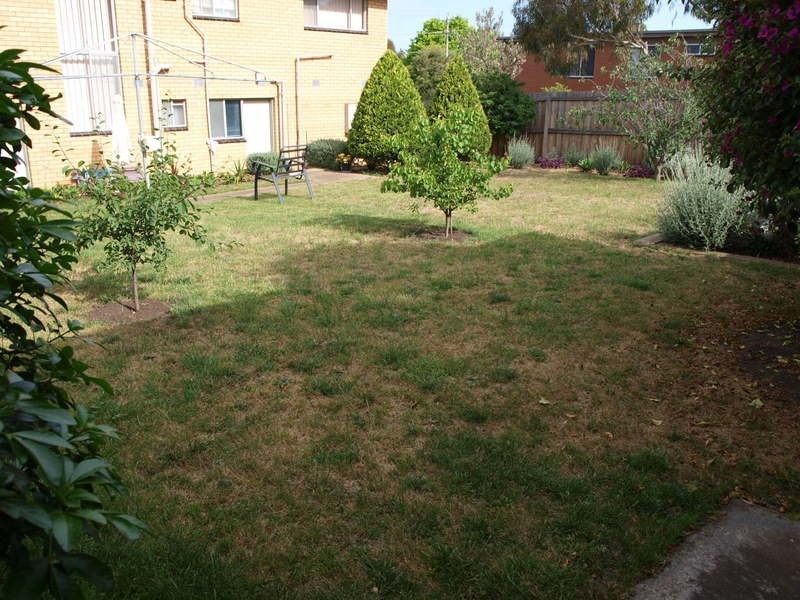 34 Beulah Street, Hamlyn Heights VIC 3215