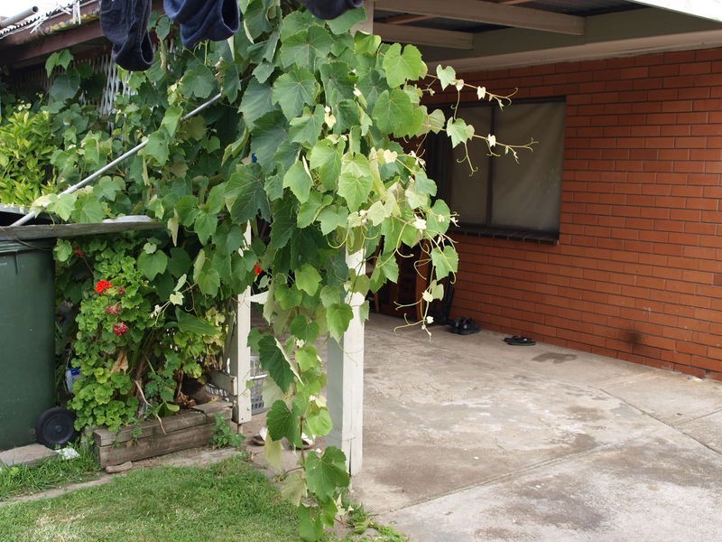 20 Dunloe Avenue, Norlane VIC 3214