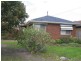 11 Ainslie Avenue, Grovedale VIC 3216