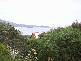 Anglesea VIC 3230