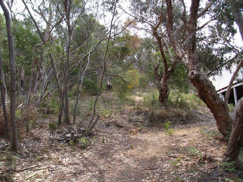 30 Niblick Street, Anglesea VIC 3230