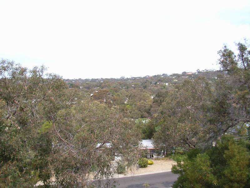 30 Niblick Street, Anglesea VIC 3230
