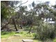 1B River Reserve Road, Anglesea VIC 3230