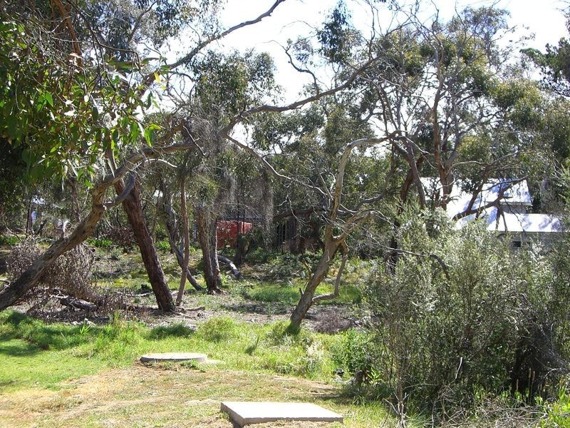1B River Reserve Road, Anglesea VIC 3230