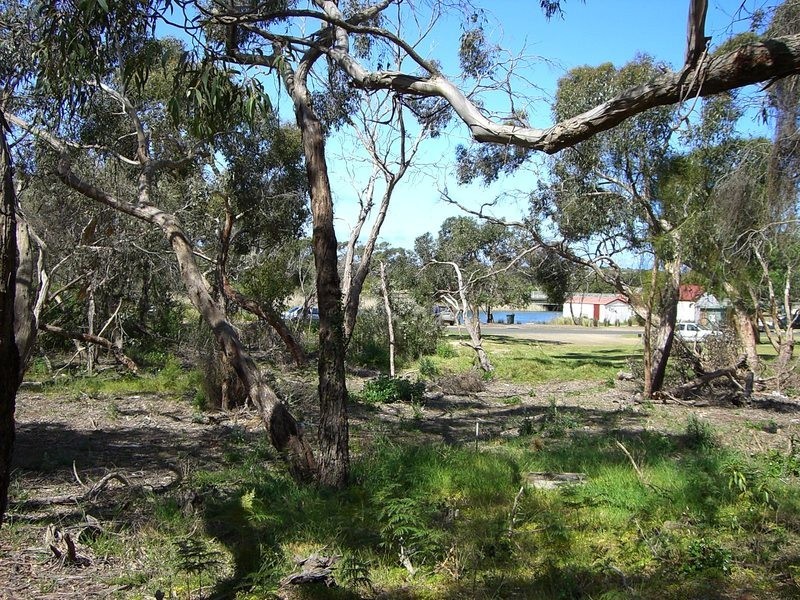 1B River Reserve Road, Anglesea VIC 3230