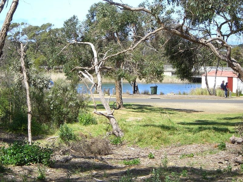 1B River Reserve Road, Anglesea VIC 3230