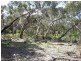 1B River Reserve Road, Anglesea VIC 3230