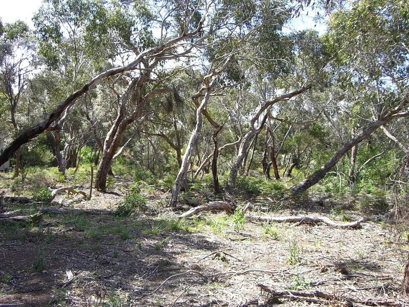 1B River Reserve Road, Anglesea VIC 3230