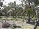 1B River Reserve Road, Anglesea VIC 3230