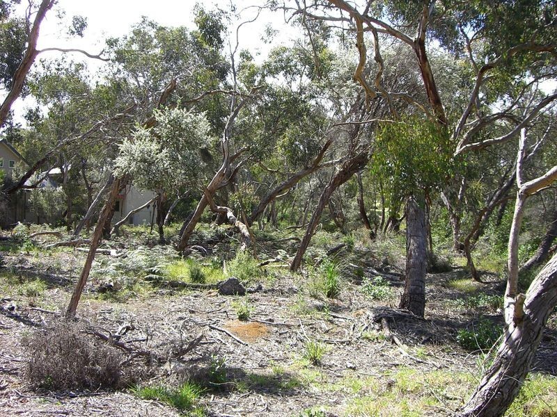 1B River Reserve Road, Anglesea VIC 3230
