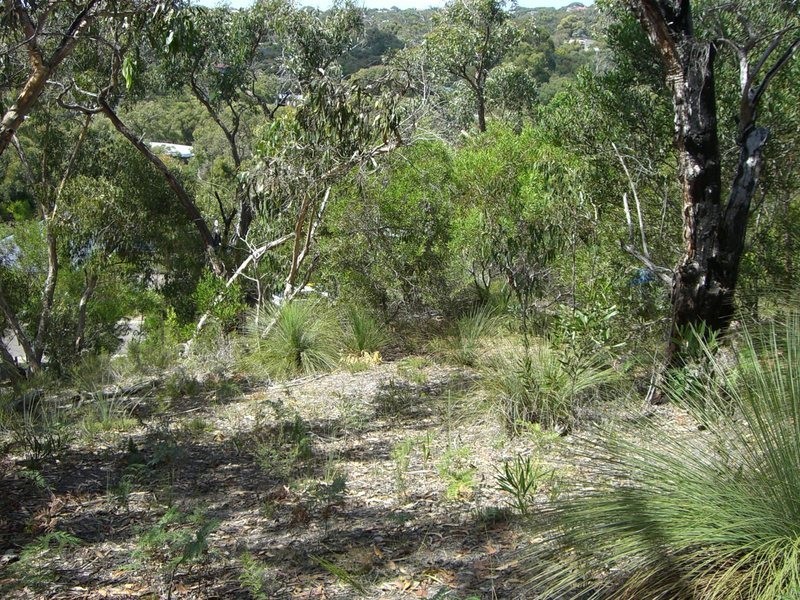 36 Niblick Street, Anglesea VIC 3230