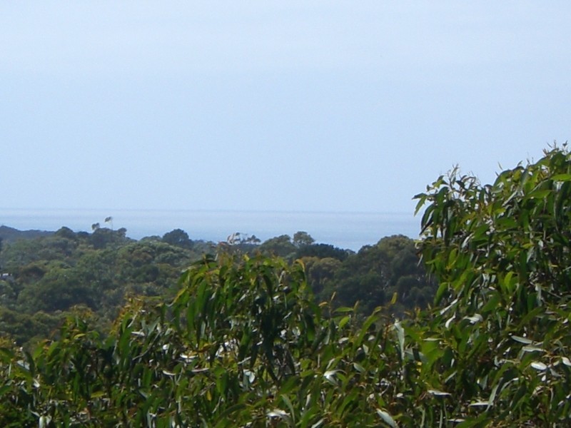 36 Niblick Street, Anglesea VIC 3230