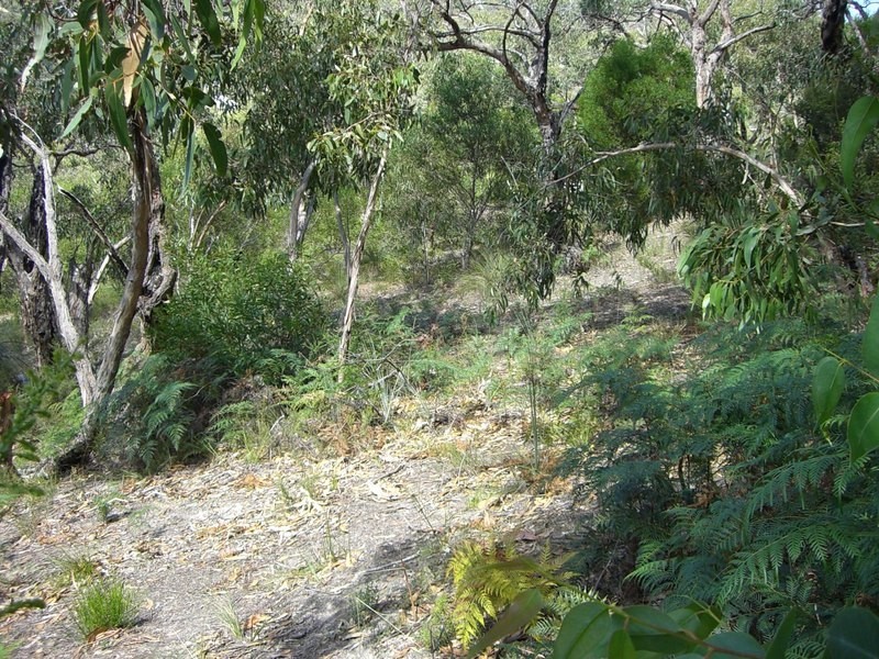 36 Niblick Street, Anglesea VIC 3230