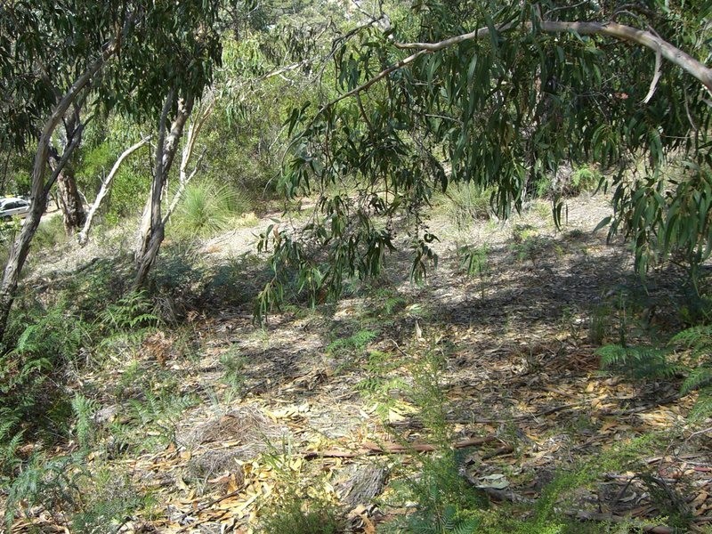 36 Niblick Street, Anglesea VIC 3230