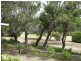 65 Noble Street, Anglesea VIC 3230