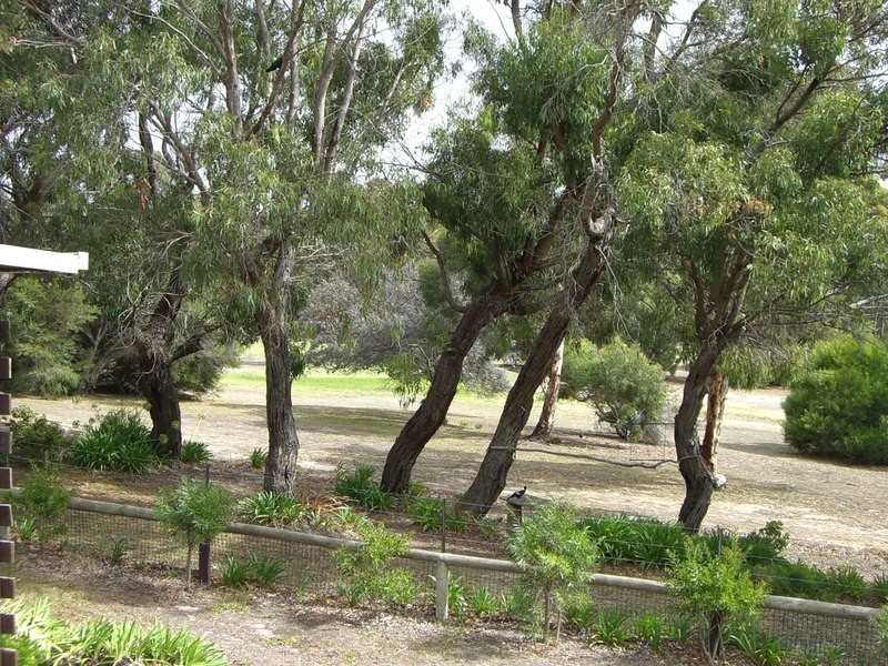 65 Noble Street, Anglesea VIC 3230