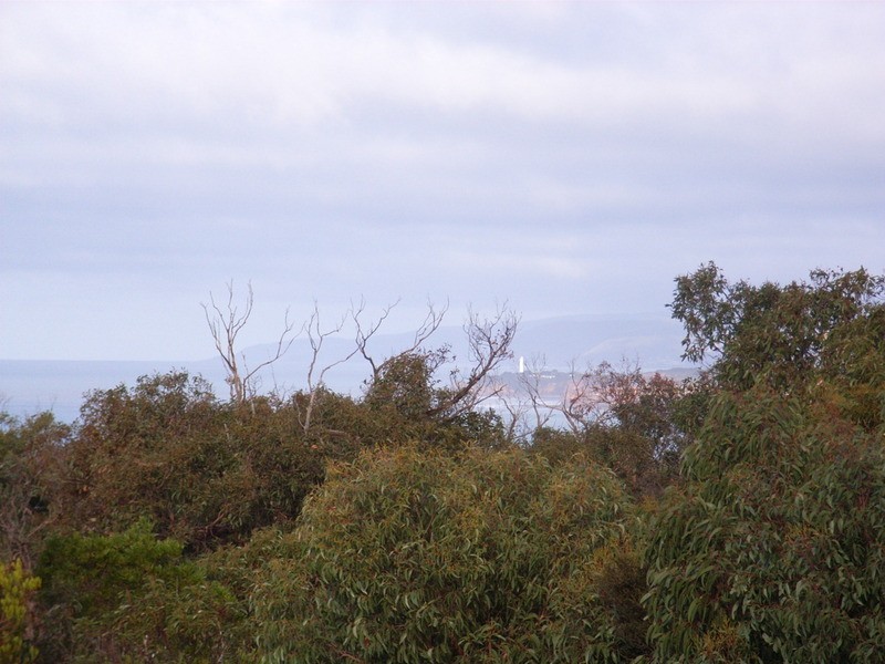 24 Second Avenue, Anglesea VIC 3230