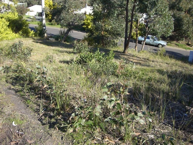 29 Chatswood Drive, Anglesea VIC 3230