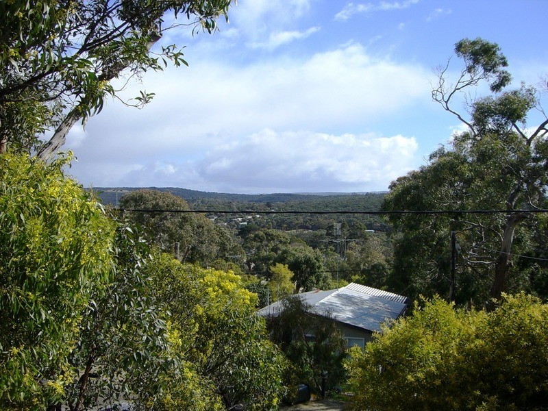 14 Lubel Street, Anglesea VIC 3230