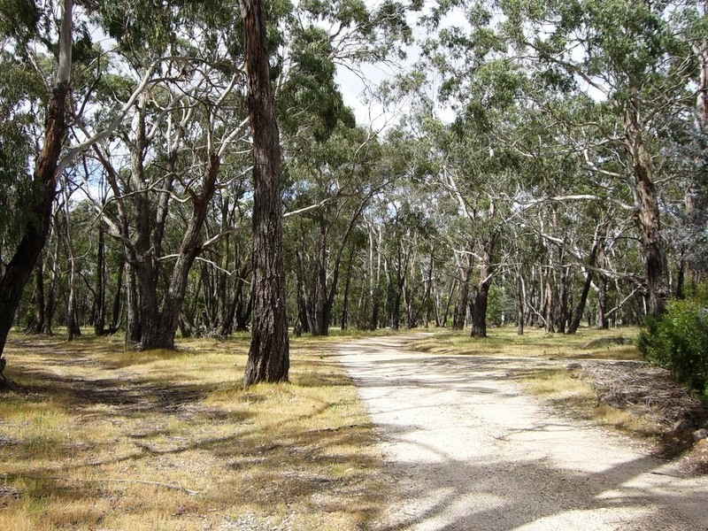 65 Noels Lane, Gherang VIC 3240